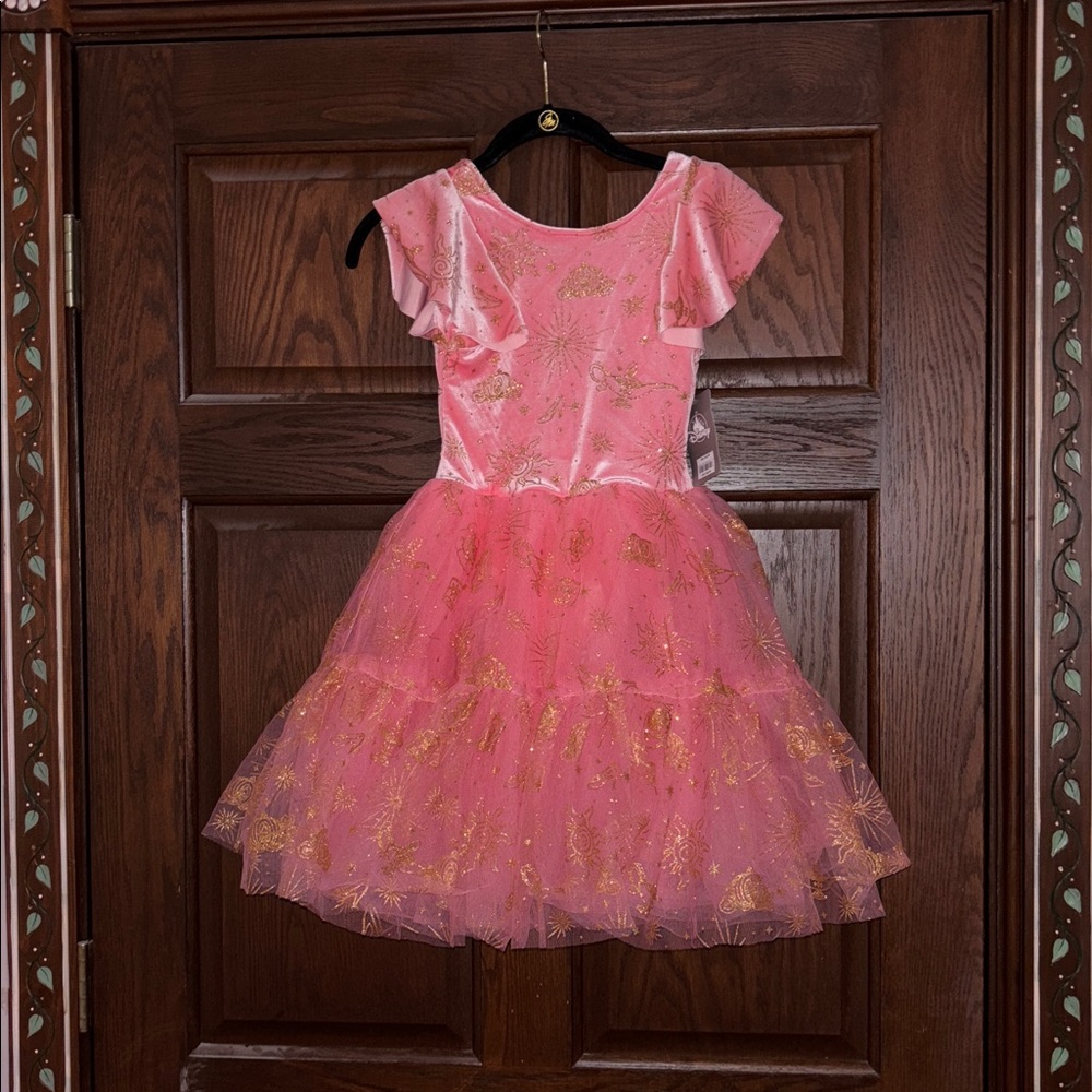 Disney Pink and Gold Dance Costume Dress